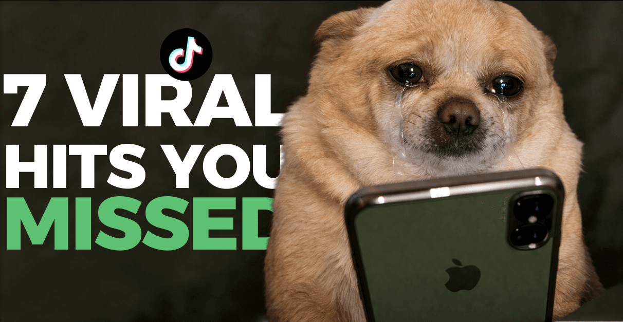 7 Viral Hits You Missed This Week