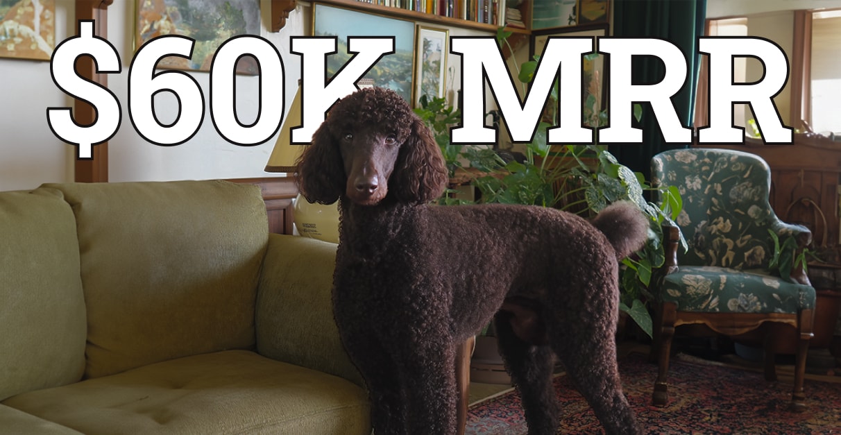 $60,000 MRR from Dog Reactions