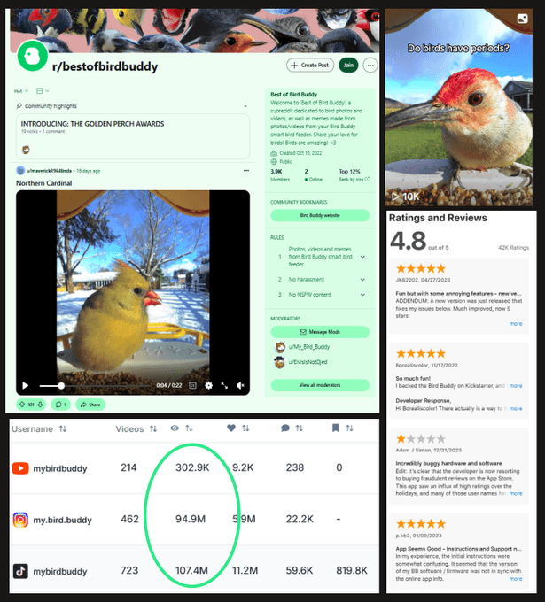 $1,000,000 MRR & 202M views w/ a Bird Watching App